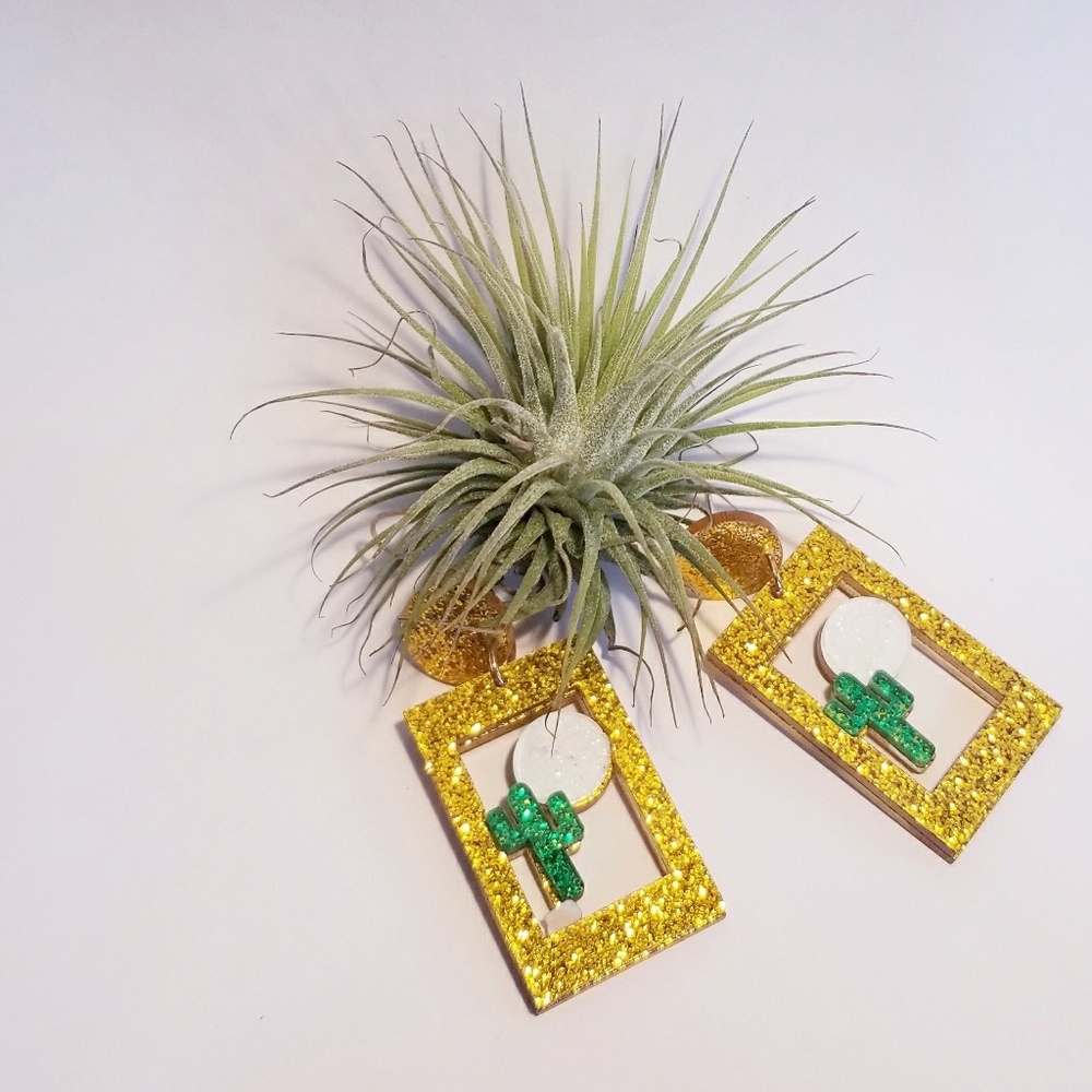 acrylic earrings